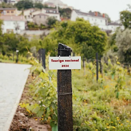 Villa Portugal Alma - Paiva Valley - Authentic Nature Sanctuary & Private Parada de Ester